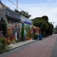 DSC 0198